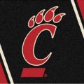 CincinnatiBearcats