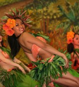 Hula Dance 3